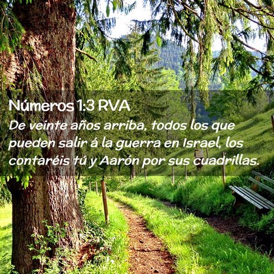 Picture 02 - Números 1:3 RVA - De veinte años arriba, todos los que pueden - Bible Verse Picture