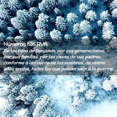 Picture 02 - Números 1:36 RVA - De los hijos de Benjamín, por sus generaciones, - Bible Verse Picture