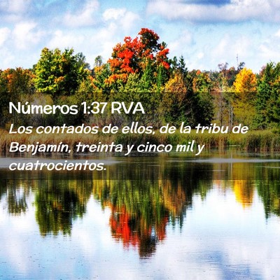 Picture 02 - Números 1:37 RVA - Los contados de ellos, de la tribu de Benjamín, - Bible Verse Picture
