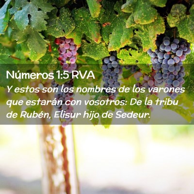 Picture 02 - Números 1:5 RVA - Y estos son los nombres de los varones que - Bible Verse Picture