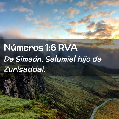 Picture 02 - Números 1:6 RVA - De Simeón, Selumiel hijo de - Bible Verse Picture