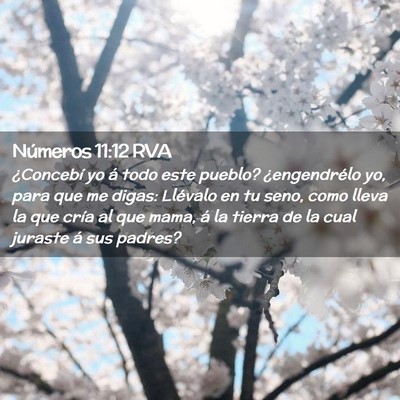 Picture 02 - Números 11:12 RVA - ¿Concebí yo á todo este pueblo? ¿engendrélo - Bible Verse Picture