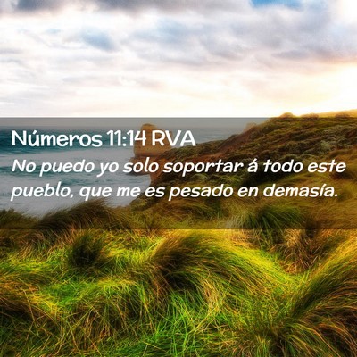 Picture 02 - Números 11:14 RVA - No puedo yo solo soportar á todo este pueblo, - Bible Verse Picture