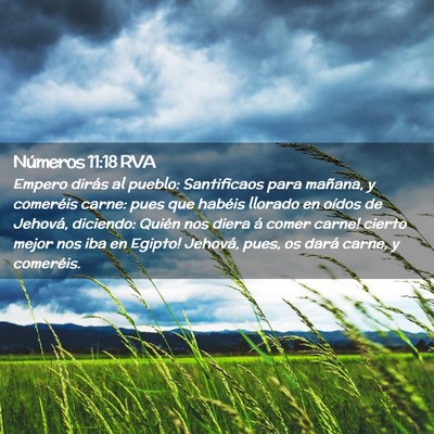 Picture 02 - Números 11:18 RVA - Empero dirás al pueblo: Santificaos para - Bible Verse Picture