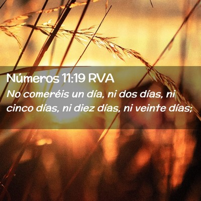 Picture 02 - Números 11:19 RVA - No comeréis un día, ni dos días, ni cinco - Bible Verse Picture