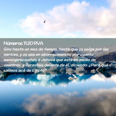 Picture 02 - Números 11:20 RVA - Sino hasta un mes de tiempo, hasta que os salga - Bible Verse Picture