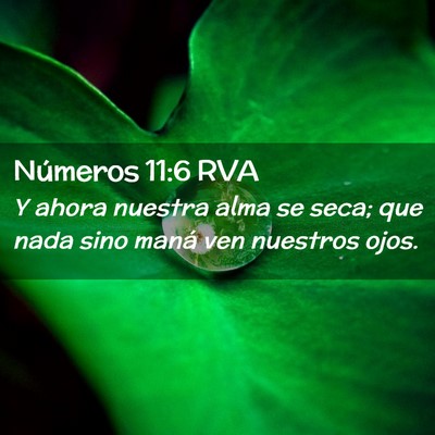 Picture 02 - Números 11:6 RVA - Y ahora nuestra alma se seca; que nada sino maná - Bible Verse Picture
