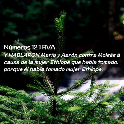 Picture 02 - Números 12:1 RVA - Y HABLARON María y Aarón contra Moisés á - Bible Verse Picture