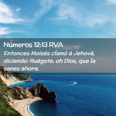 Picture 02 - Números 12:13 RVA - Entonces Moisés clamó á Jehová, diciendo: - Bible Verse Picture