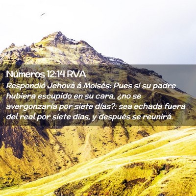 Picture 02 - Números 12:14 RVA - Respondió Jehová á Moisés: Pues si su padre - Bible Verse Picture
