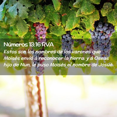 Picture 02 - Números 13:16 RVA - Estos son los nombres de los varones que Moisés - Bible Verse Picture