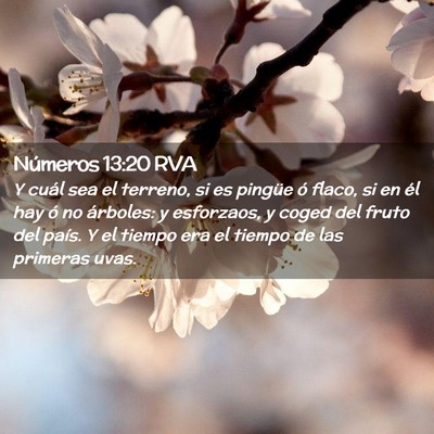 Picture 02 - Números 13:20 RVA - Y cuál sea el terreno, si es pingüe ó flaco, - Bible Verse Picture