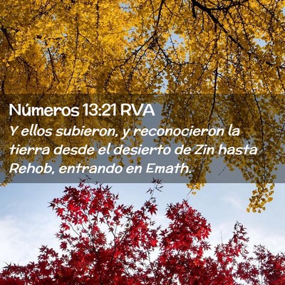 Picture 02 - Números 13:21 RVA - Y ellos subieron, y reconocieron la tierra desde - Bible Verse Picture