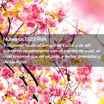 Picture 02 - Números 13:23 RVA - Y llegaron hasta el arroyo de Escol, y de allí - Bible Verse Picture