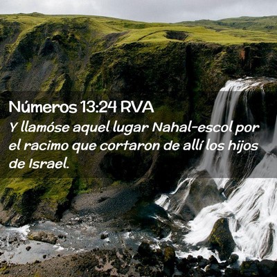 Picture 02 - Números 13:24 RVA - Y llamóse aquel lugar Nahal-escol por el racimo - Bible Verse Picture