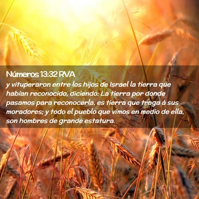 Picture 02 - Números 13:32 RVA - y vituperaron entre los hijos de Israel la tierra - Bible Verse Picture