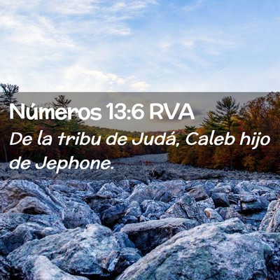 Picture 02 - Números 13:6 RVA - De la tribu de Judá, Caleb hijo de - Bible Verse Picture