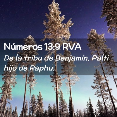 Picture 02 - Números 13:9 RVA - De la tribu de Benjamín, Palti hijo de - Bible Verse Picture
