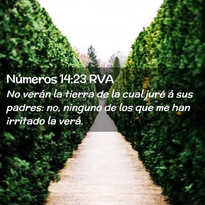 Picture 02 - Números 14:23 RVA - No verán la tierra de la cual juré á sus - Bible Verse Picture