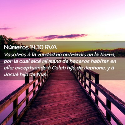 Picture 02 - Números 14:30 RVA - Vosotros á la verdad no entraréis en la tierra, - Bible Verse Picture