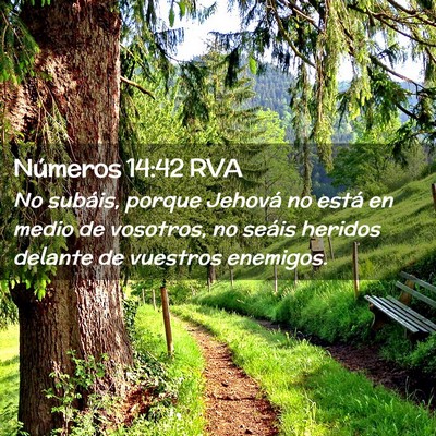 Picture 02 - Números 14:42 RVA - No subáis, porque Jehová no está en medio de - Bible Verse Picture