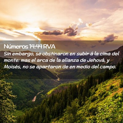 Picture 02 - Números 14:44 RVA - Sin embargo, se obstinaron en subir á la cima - Bible Verse Picture