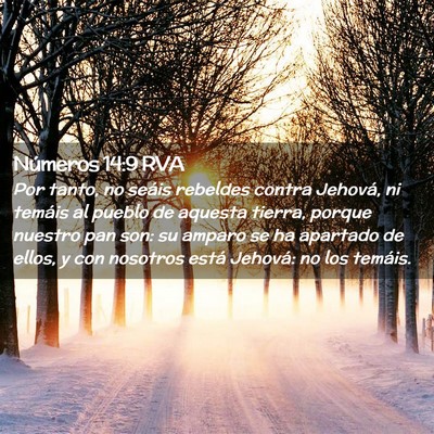 Picture 02 - Números 14:9 RVA - Por tanto, no seáis rebeldes contra Jehová, ni - Bible Verse Picture