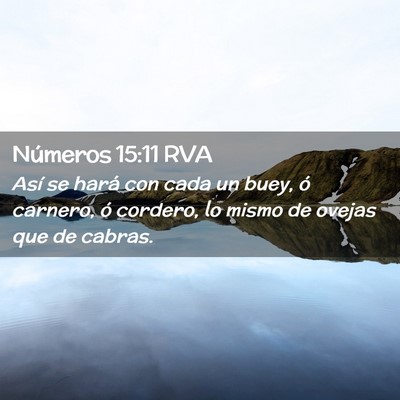Picture 02 - Números 15:11 RVA - Así se hará con cada un buey, ó carnero, ó - Bible Verse Picture
