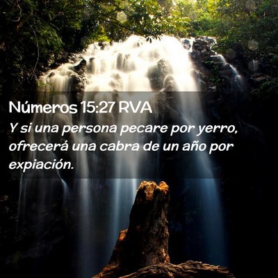 Picture 02 - Números 15:27 RVA - Y si una persona pecare por yerro, ofrecerá una - Bible Verse Picture