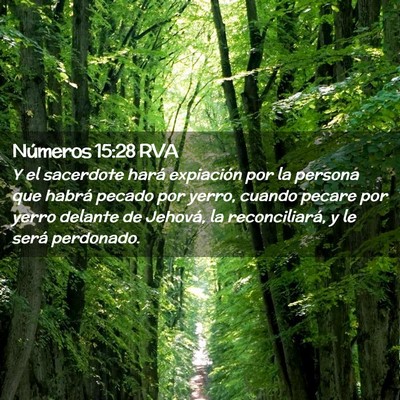 Picture 02 - Números 15:28 RVA - Y el sacerdote hará expiación por la persona - Bible Verse Picture