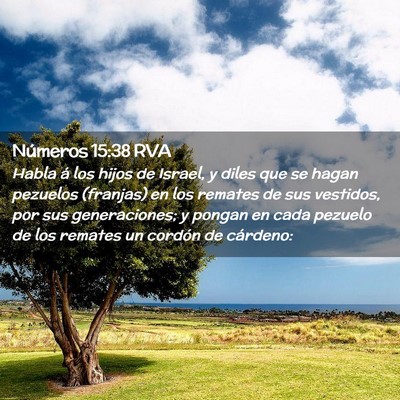 Picture 02 - Números 15:38 RVA - Habla á los hijos de Israel, y diles que se - Bible Verse Picture