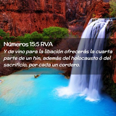 Picture 02 - Números 15:5 RVA - Y de vino para la libación ofrecerás la cuarta - Bible Verse Picture