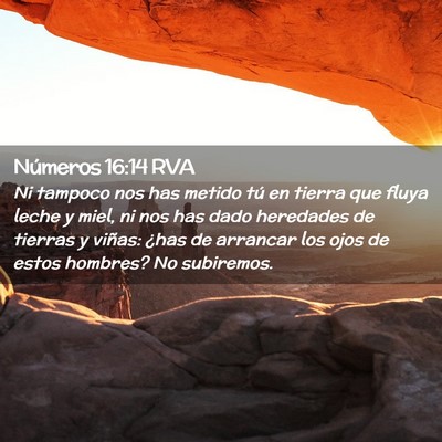 Picture 02 - Números 16:14 RVA - Ni tampoco nos has metido tú en tierra que fluya - Bible Verse Picture