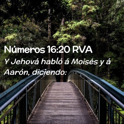 Picture 02 - Números 16:20 RVA - Y Jehová habló á Moisés y á Aarón, - Bible Verse Picture