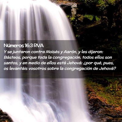 Picture 02 - Números 16:3 RVA - Y se juntaron contra Moisés y Aarón, y les - Bible Verse Picture