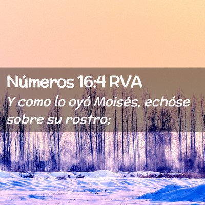 Picture 02 - Números 16:4 RVA - Y como lo oyó Moisés, echóse sobre su - Bible Verse Picture