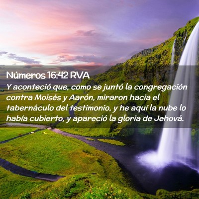 Picture 02 - Números 16:42 RVA - Y aconteció que, como se juntó la congregación - Bible Verse Picture