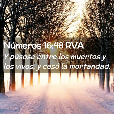 Picture 02 - Números 16:48 RVA - Y púsose entre los muertos y los vivos, y cesó - Bible Verse Picture
