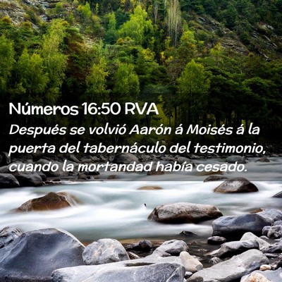 Picture 02 - Números 16:50 RVA - Después se volvió Aarón á Moisés á la - Bible Verse Picture