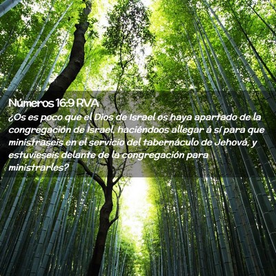 Picture 02 - Números 16:9 RVA - ¿Os es poco que el Dios de Israel os haya - Bible Verse Picture
