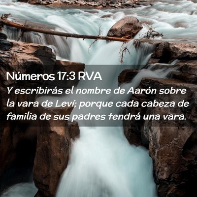 Picture 02 - Números 17:3 RVA - Y escribirás el nombre de Aarón sobre la vara - Bible Verse Picture