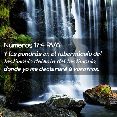 Picture 02 - Números 17:4 RVA - Y las pondrás en el tabernáculo del testimonio - Bible Verse Picture