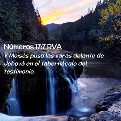 Picture 02 - Números 17:7 RVA - Y Moisés puso las varas delante de Jehová en el - Bible Verse Picture