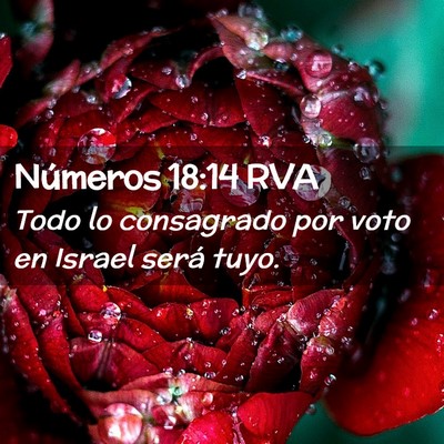 Picture 02 - Números 18:14 RVA - Todo lo consagrado por voto en Israel será - Bible Verse Picture