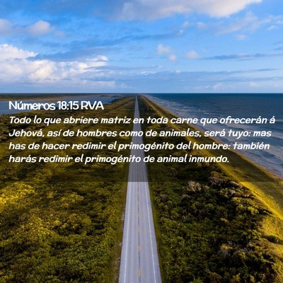 Picture 02 - Números 18:15 RVA - Todo lo que abriere matriz en toda carne que - Bible Verse Picture