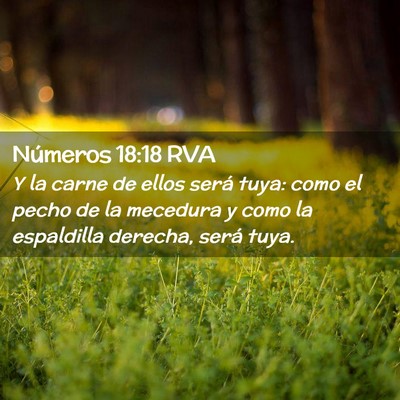 Picture 02 - Números 18:18 RVA - Y la carne de ellos será tuya: como el pecho de - Bible Verse Picture