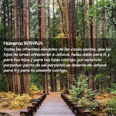 Picture 02 - Números 18:19 RVA - Todas las ofrendas elevadas de las cosas santas, - Bible Verse Picture