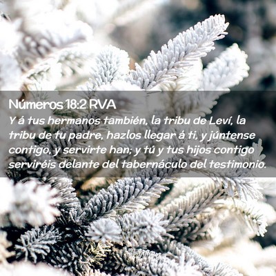 Picture 02 - Números 18:2 RVA - Y á tus hermanos también, la tribu de Leví, la - Bible Verse Picture