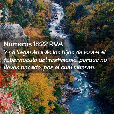 Picture 02 - Números 18:22 RVA - Y no llegarán más los hijos de Israel al - Bible Verse Picture