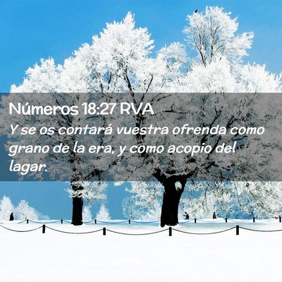 Picture 02 - Números 18:27 RVA - Y se os contará vuestra ofrenda como grano de la - Bible Verse Picture